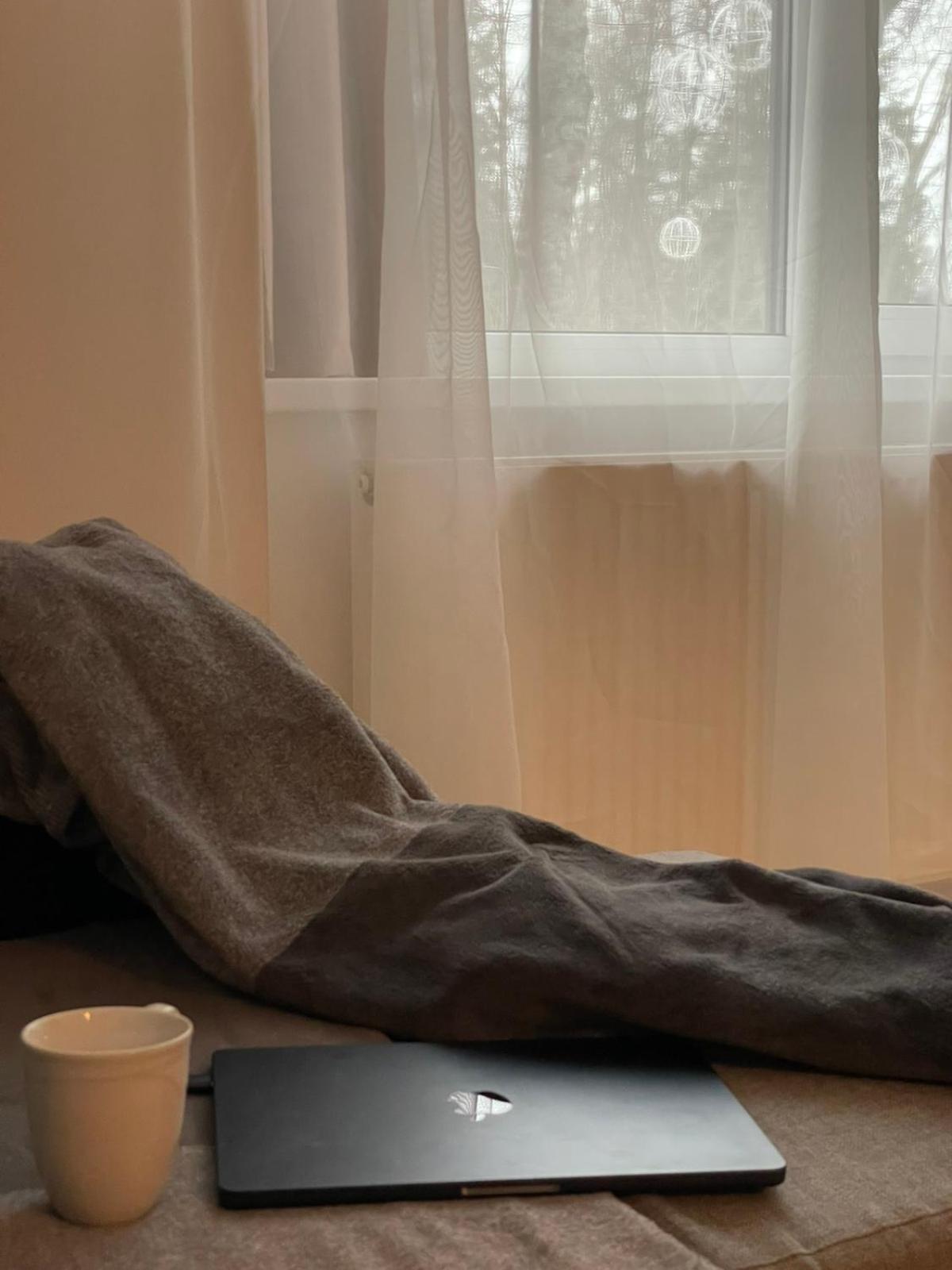 Taikos Apartmentai 2 Druskininkai Eksteriør billede